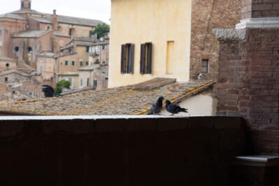 Stefano Franceschini fotografo matrimonio Toscana